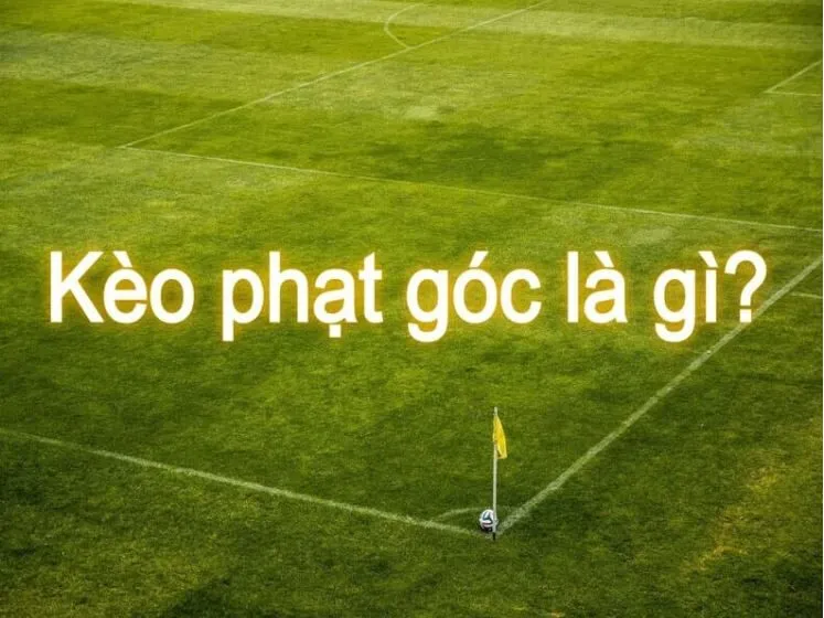 soi kèo phạt góc w88 như nào